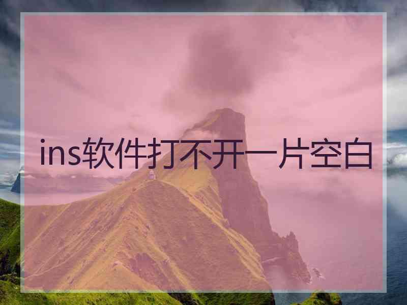 ins软件打不开一片空白