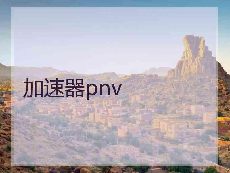 加速器pnv