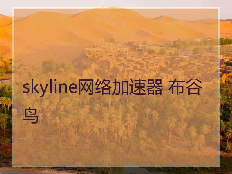skyline网络加速器 布谷鸟