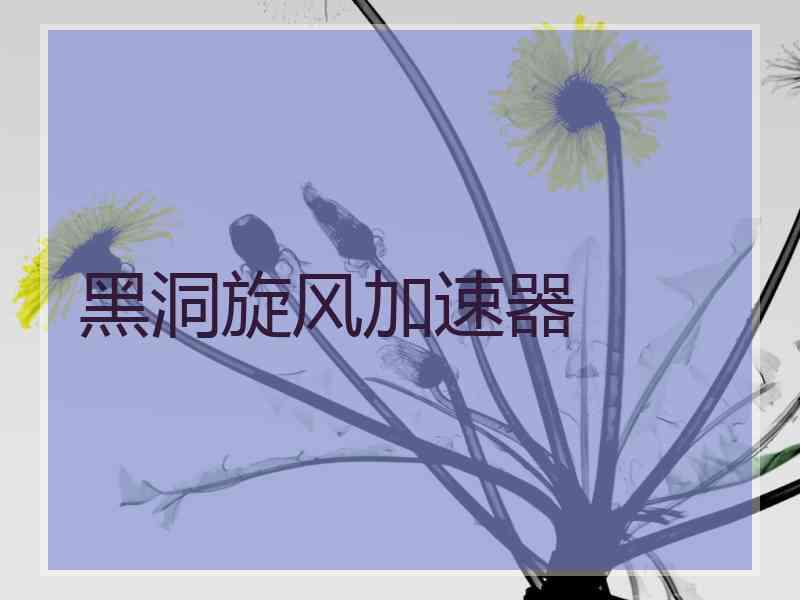 黑洞旋风加速器