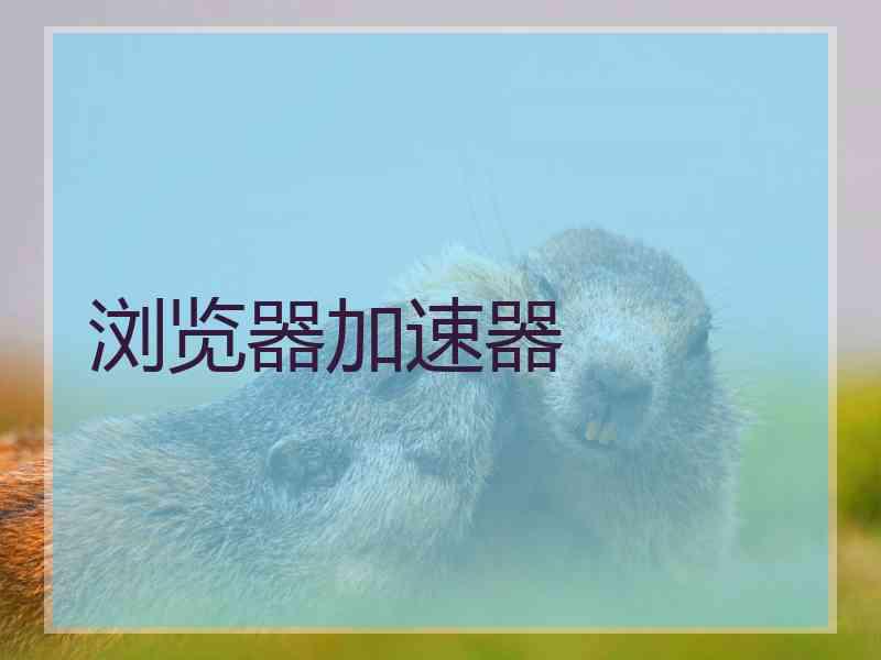 浏览器加速器