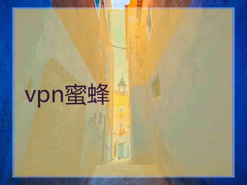 vpn蜜蜂