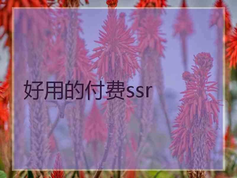 好用的付费ssr