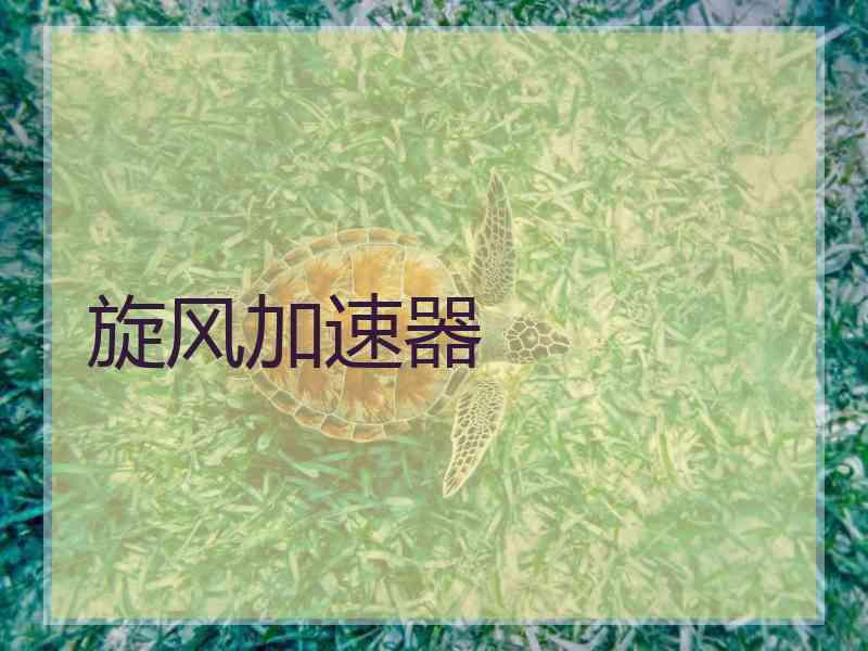 旋风加速器