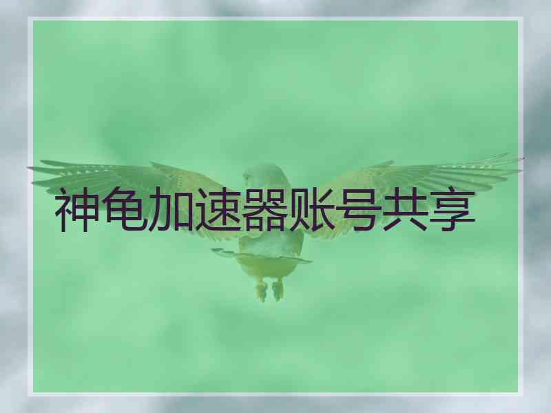 神龟加速器账号共享
