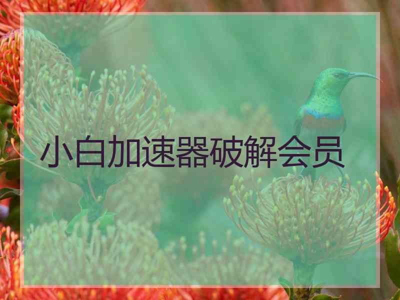 小白加速器破解会员