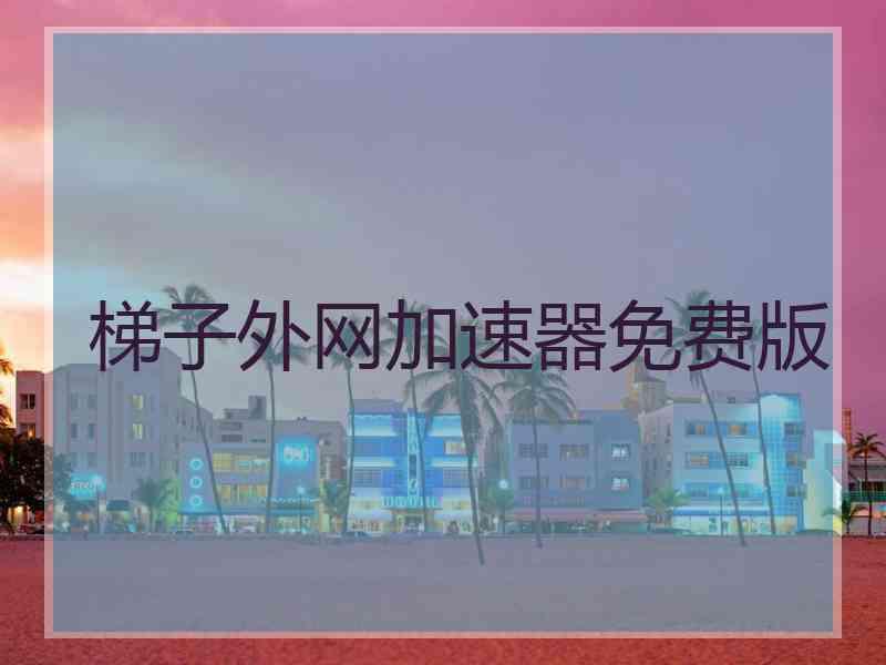 梯子外网加速器免费版