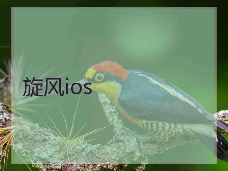 旋风ios