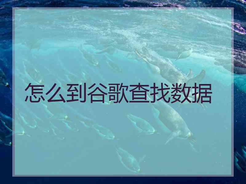 怎么到谷歌查找数据