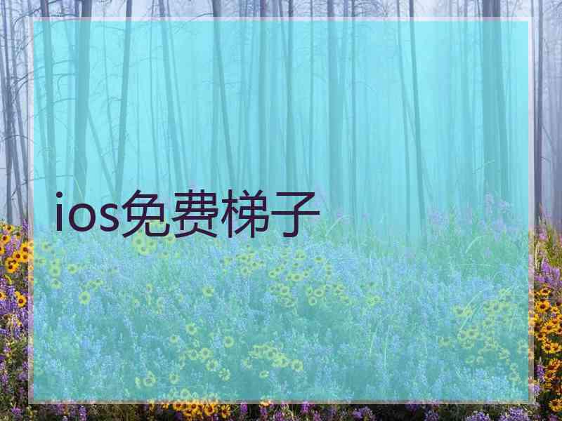 ios免费梯子
