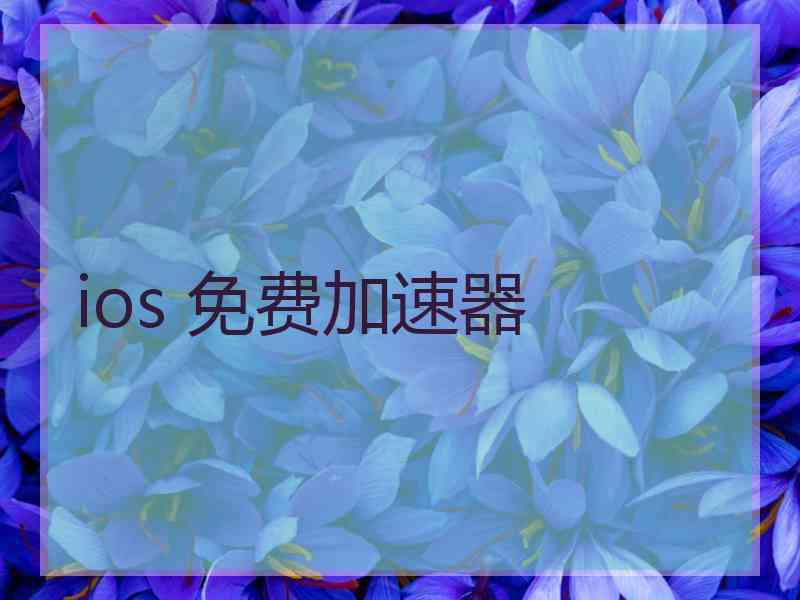 ios 免费加速器
