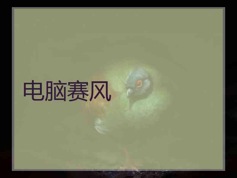电脑赛风
