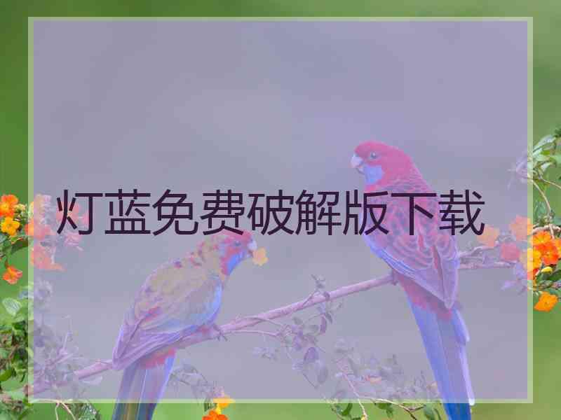 灯蓝免费破解版下载