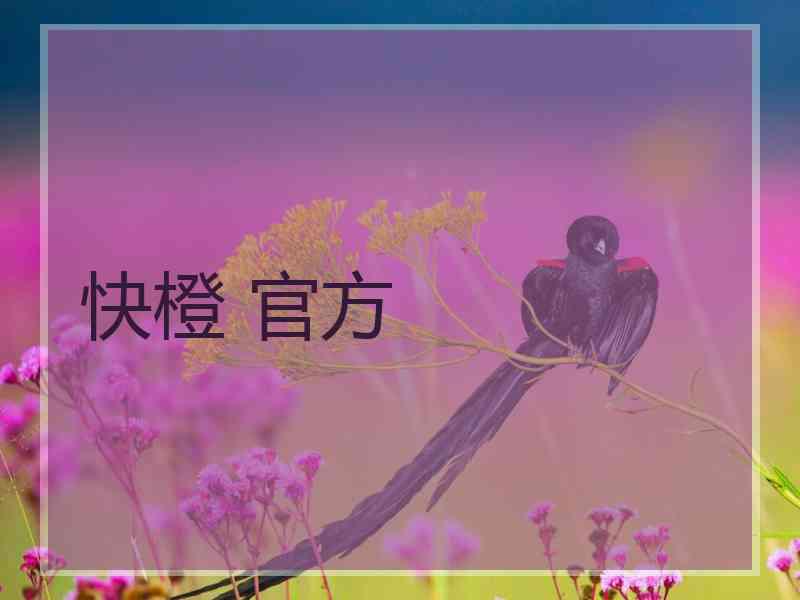 快橙 官方