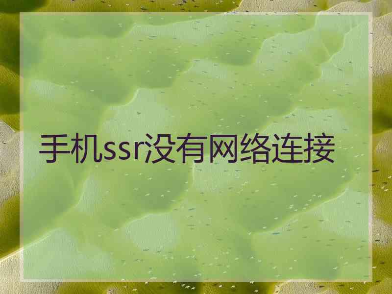 手机ssr没有网络连接