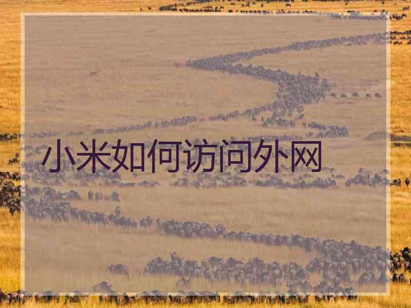 小米如何访问外网
