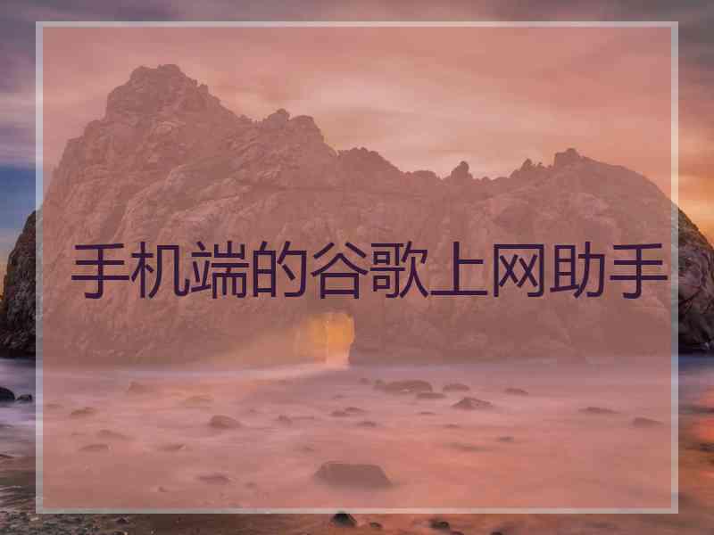 手机端的谷歌上网助手