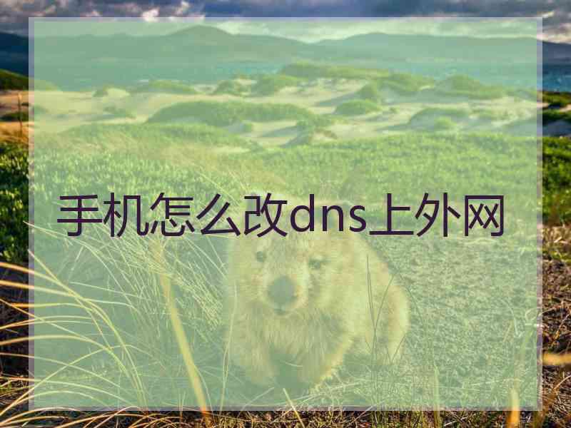 手机怎么改dns上外网