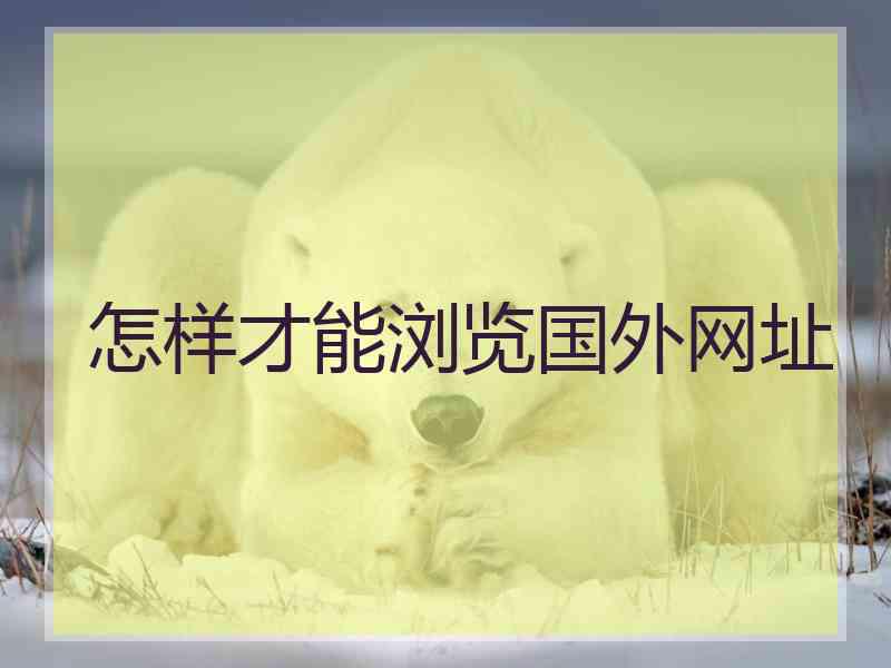 怎样才能浏览国外网址