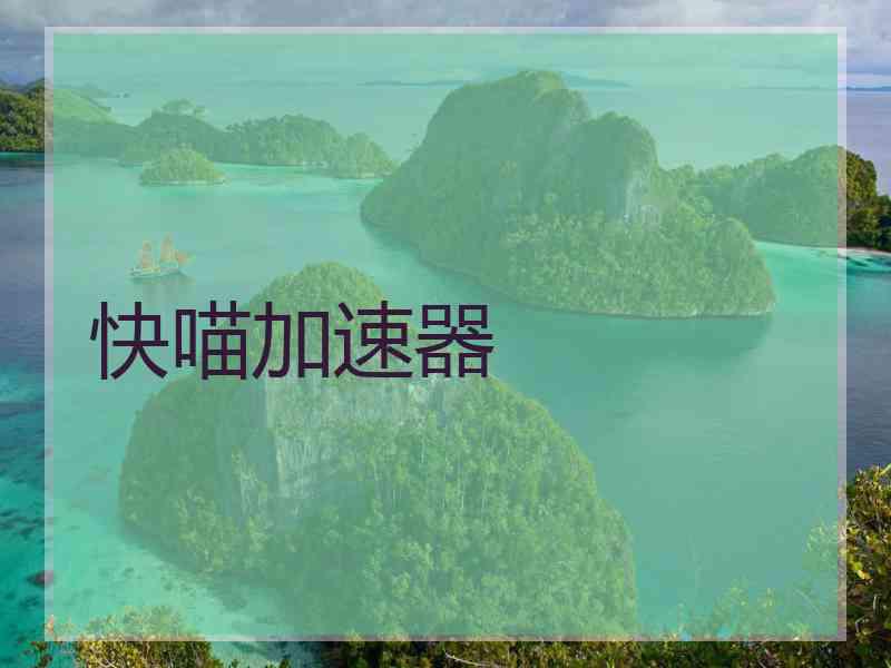 快喵加速器