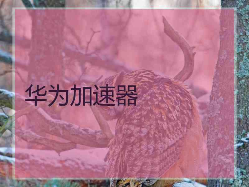 华为加速器