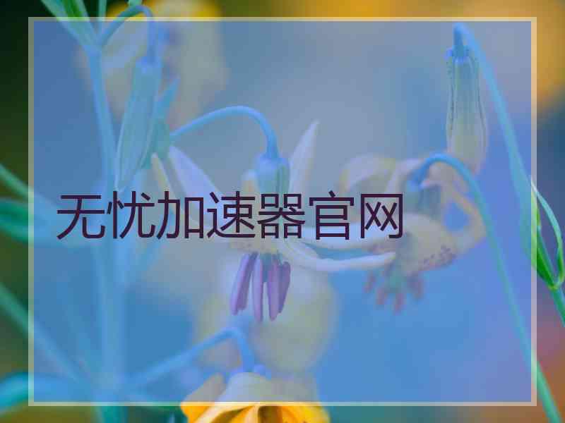 无忧加速器官网