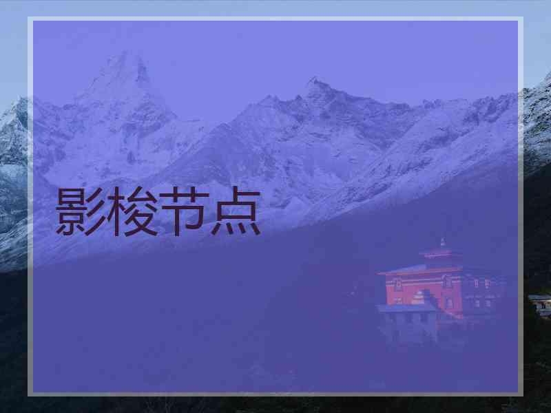 影梭节点