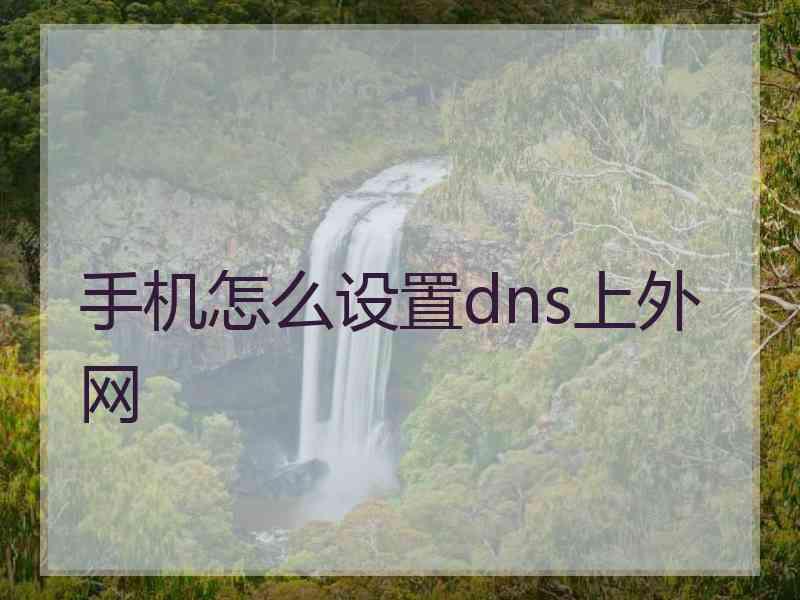 手机怎么设置dns上外网