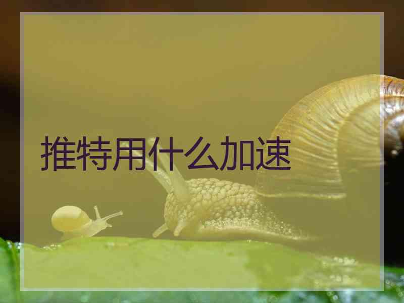 推特用什么加速