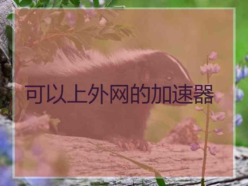 可以上外网的加速器