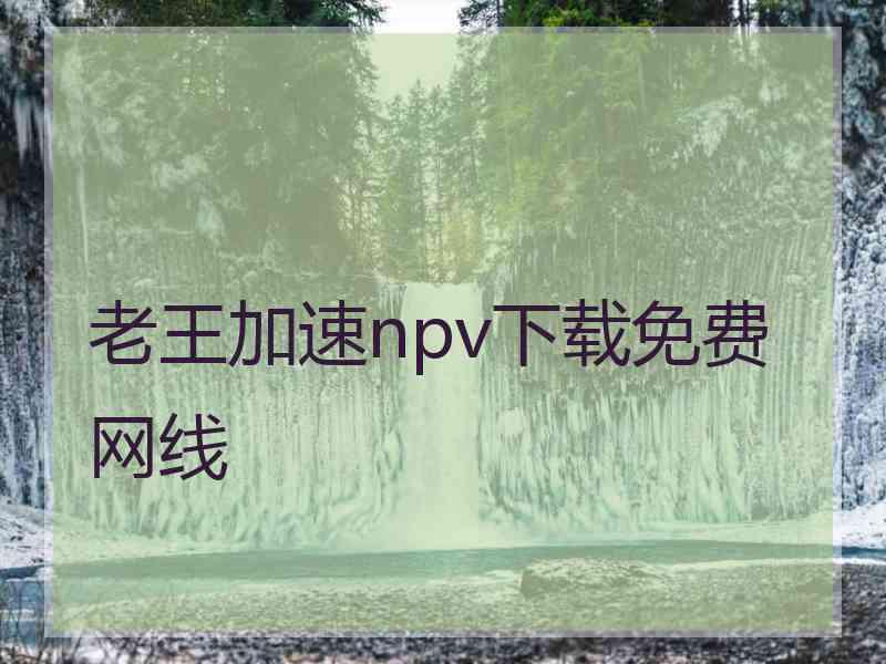 老王加速npv下载免费网线