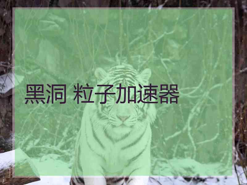 黑洞 粒子加速器