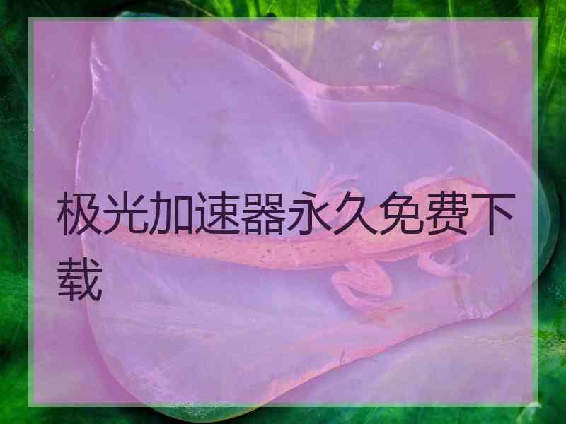 极光加速器永久免费下载