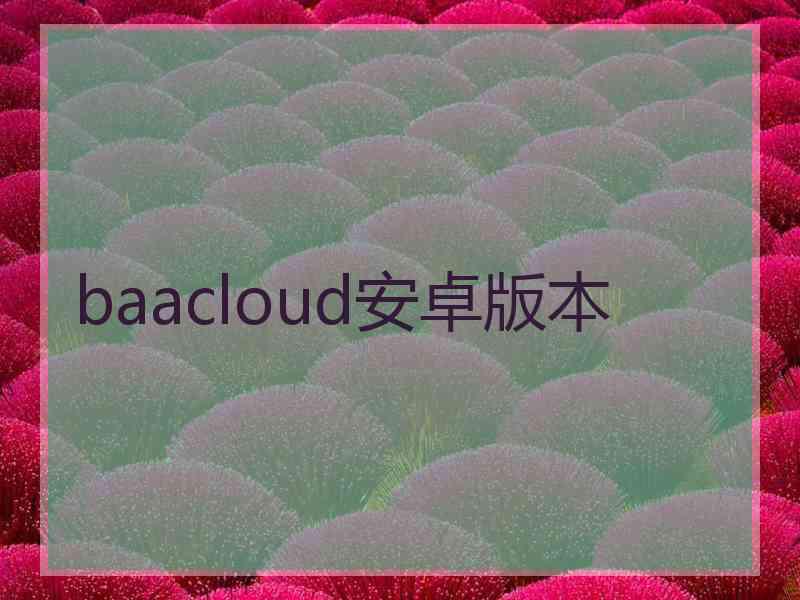 baacloud安卓版本
