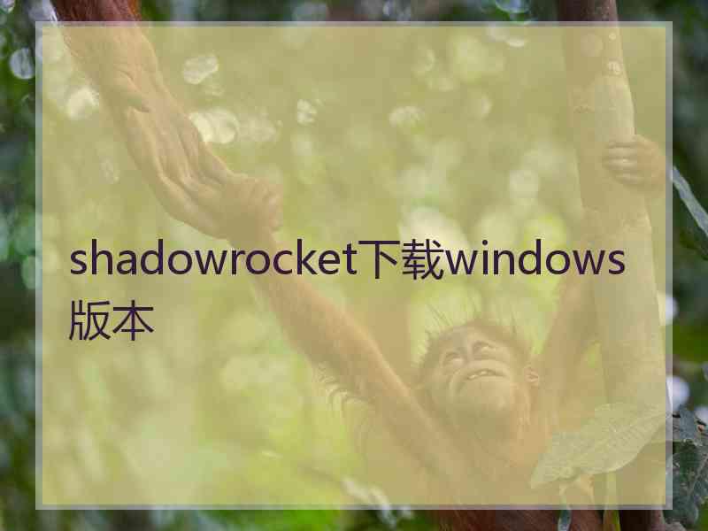 shadowrocket下载windows版本