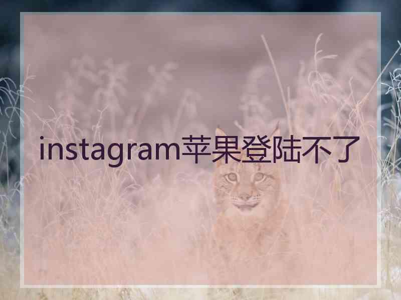 instagram苹果登陆不了