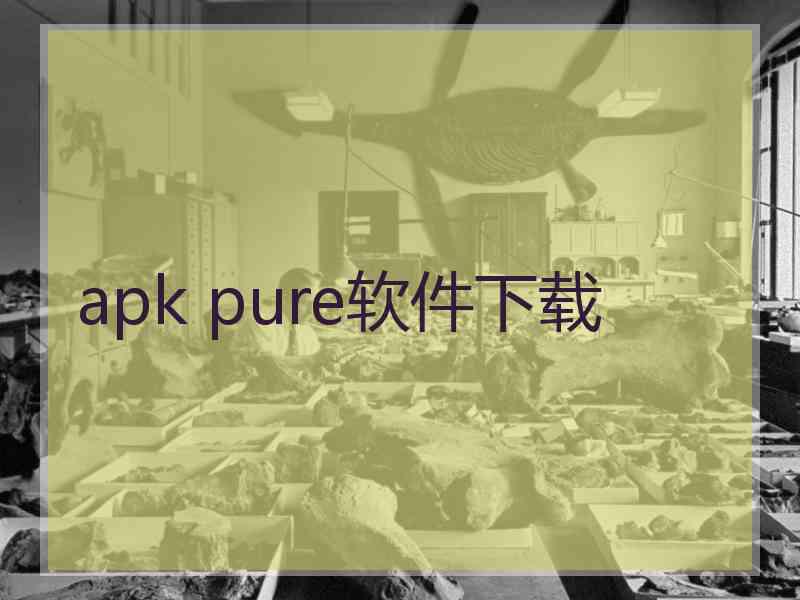 apk pure软件下载