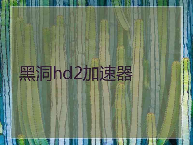 黑洞hd2加速器