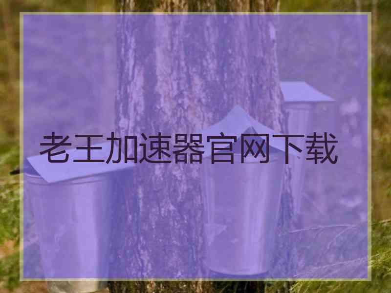 老王加速器官网下载