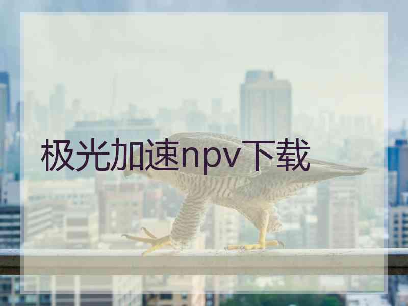 极光加速npv下载