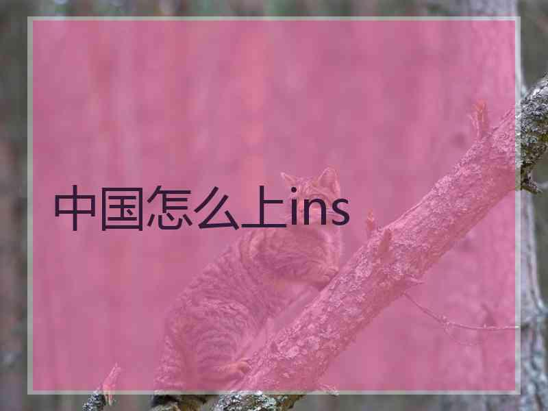 中国怎么上ins