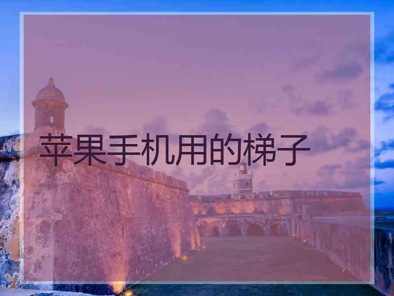 苹果手机用的梯子