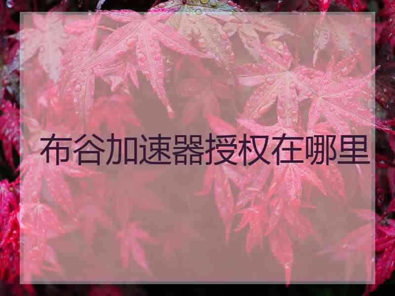 布谷加速器授权在哪里