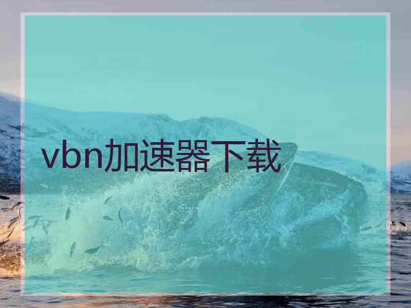 vbn加速器下载