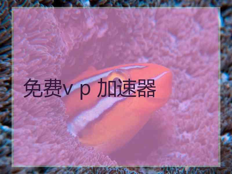 免费v p 加速器