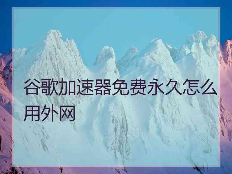 谷歌加速器免费永久怎么用外网