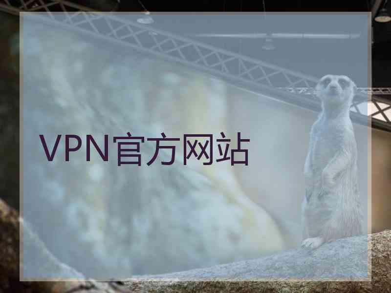 VPN官方网站