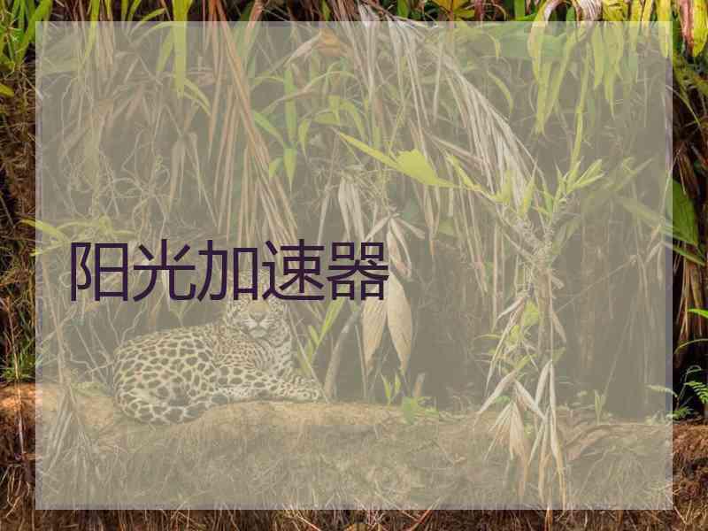 阳光加速器