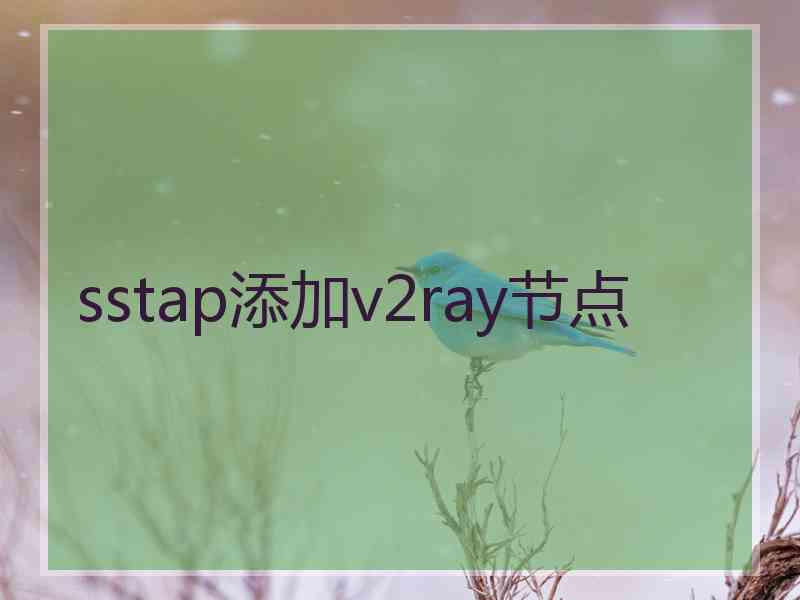 sstap添加v2ray节点