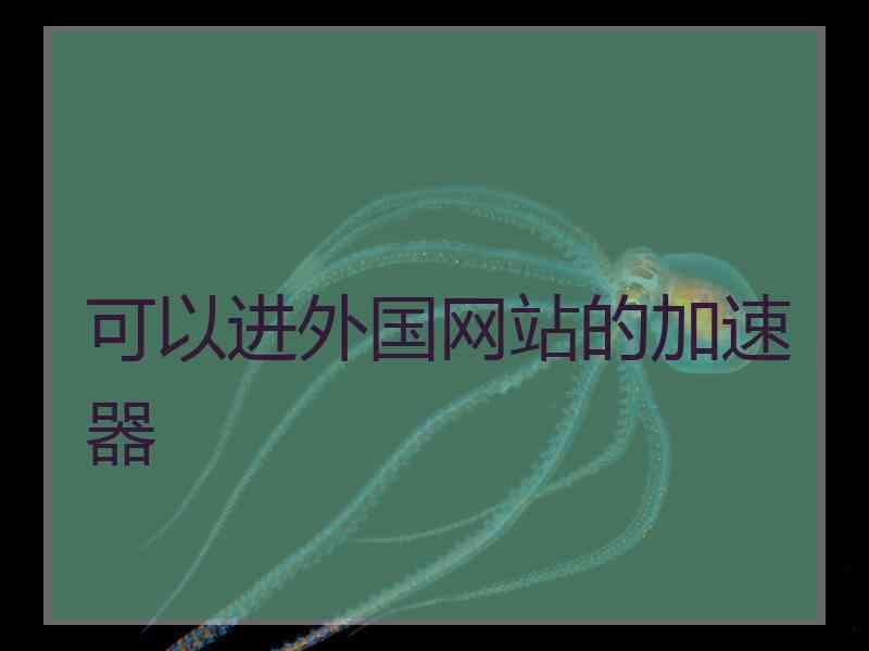 可以进外国网站的加速器